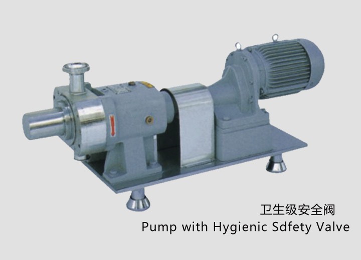 凸輪式轉子(zǐ)泵