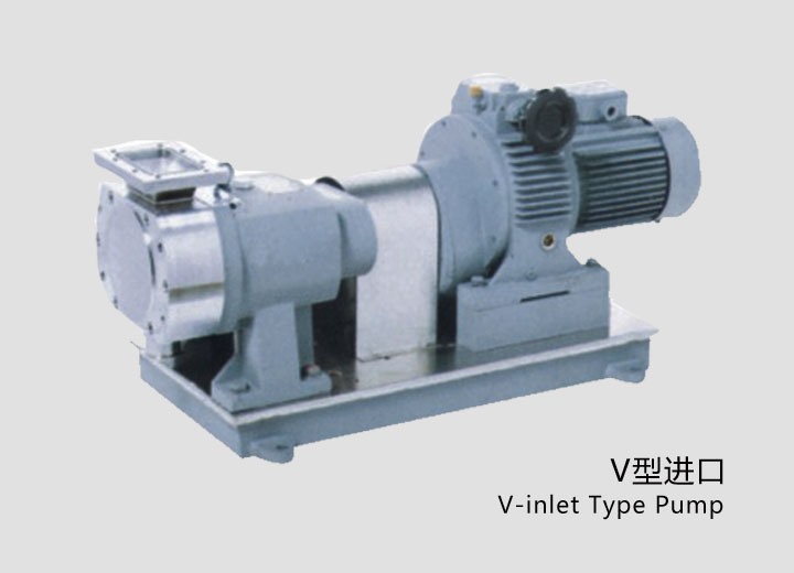 凸輪式轉(zhuǎn)子泵