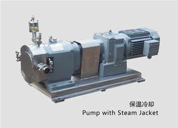 凸輪(lun)式轉子泵