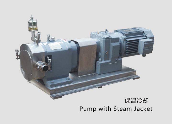 凸輪式轉(zhuǎn)子泵