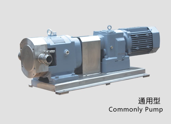 凸輪式轉子(zǐ)泵