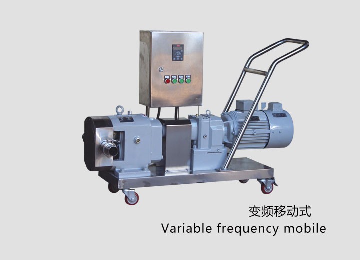 凸輪式轉子(zǐ)泵