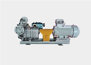 TXB橡膠轉子(zi)泵